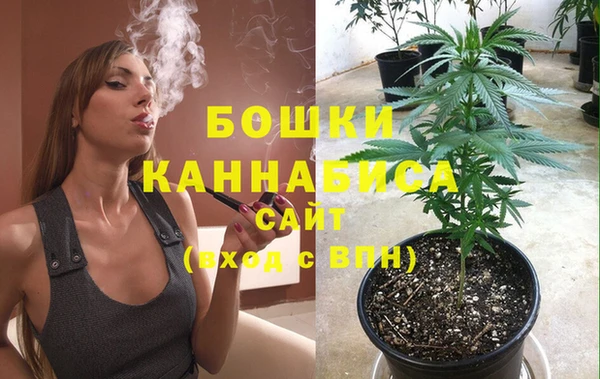 индика Волоколамск