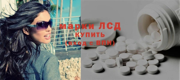индика Волоколамск