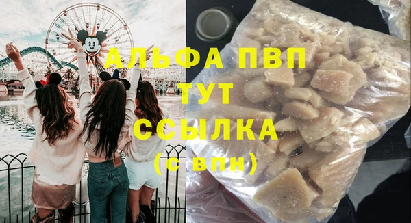 индика Волоколамск