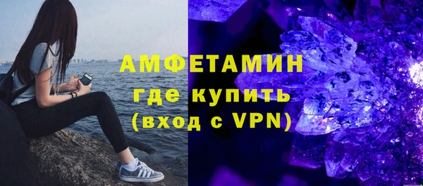 индика Волоколамск