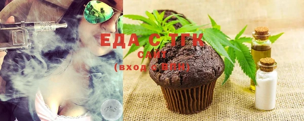 индика Волоколамск