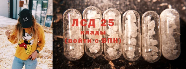 индика Волоколамск