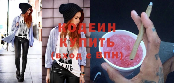 индика Волоколамск